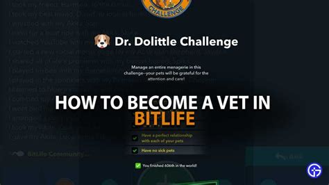 how to become a vet in bitlife|BitLife Schools Guide